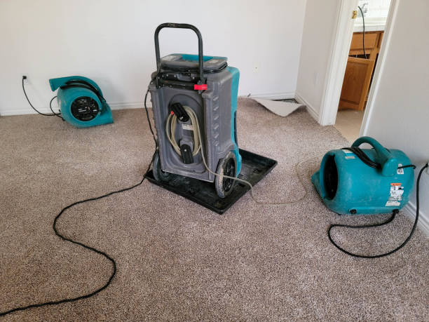 Best Water damage restoration near me  in Parkway, CA