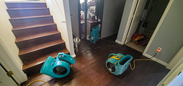 Best Water damage restoration near me  in Parkway, CA