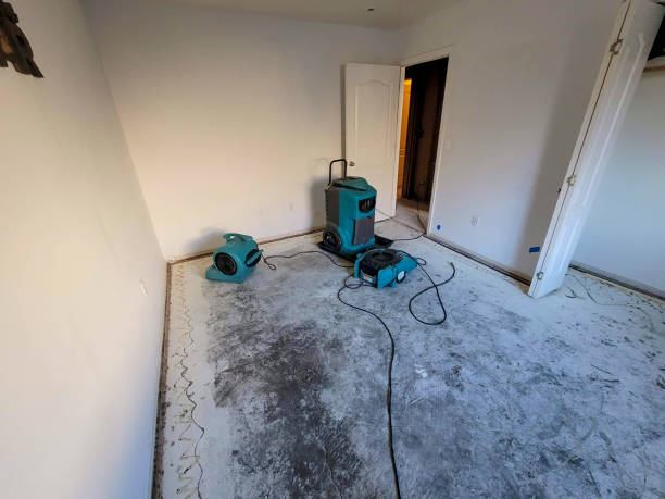 Best 24-hour water damage restoration  in Parkway, CA