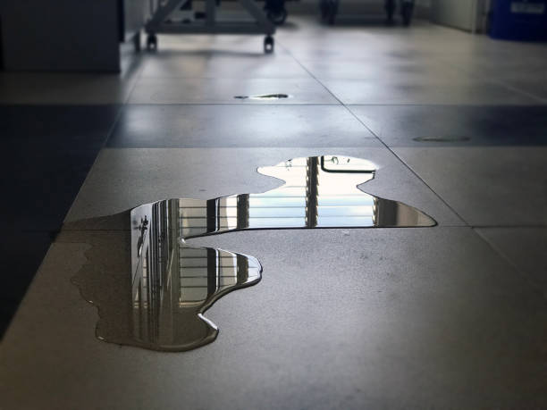 Best Professional water damage repair  in Parkway, CA