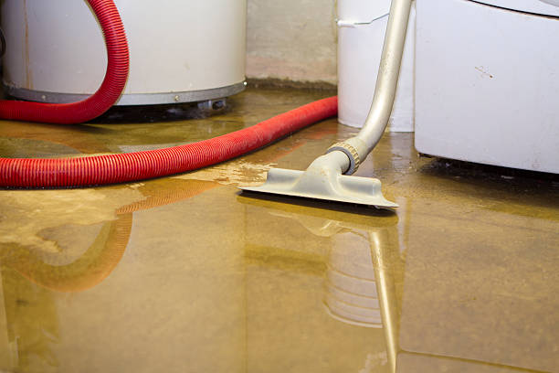 Best Ceiling water damage repair  in Parkway, CA