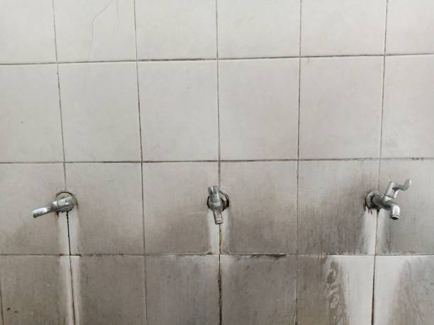 Best Basement water damage restoration  in Parkway, CA