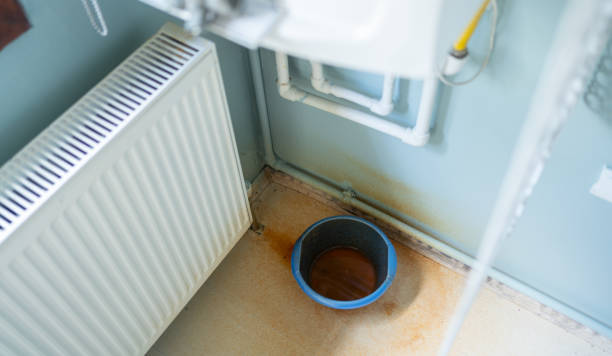 Best Water damage restoration cost  in Parkway, CA